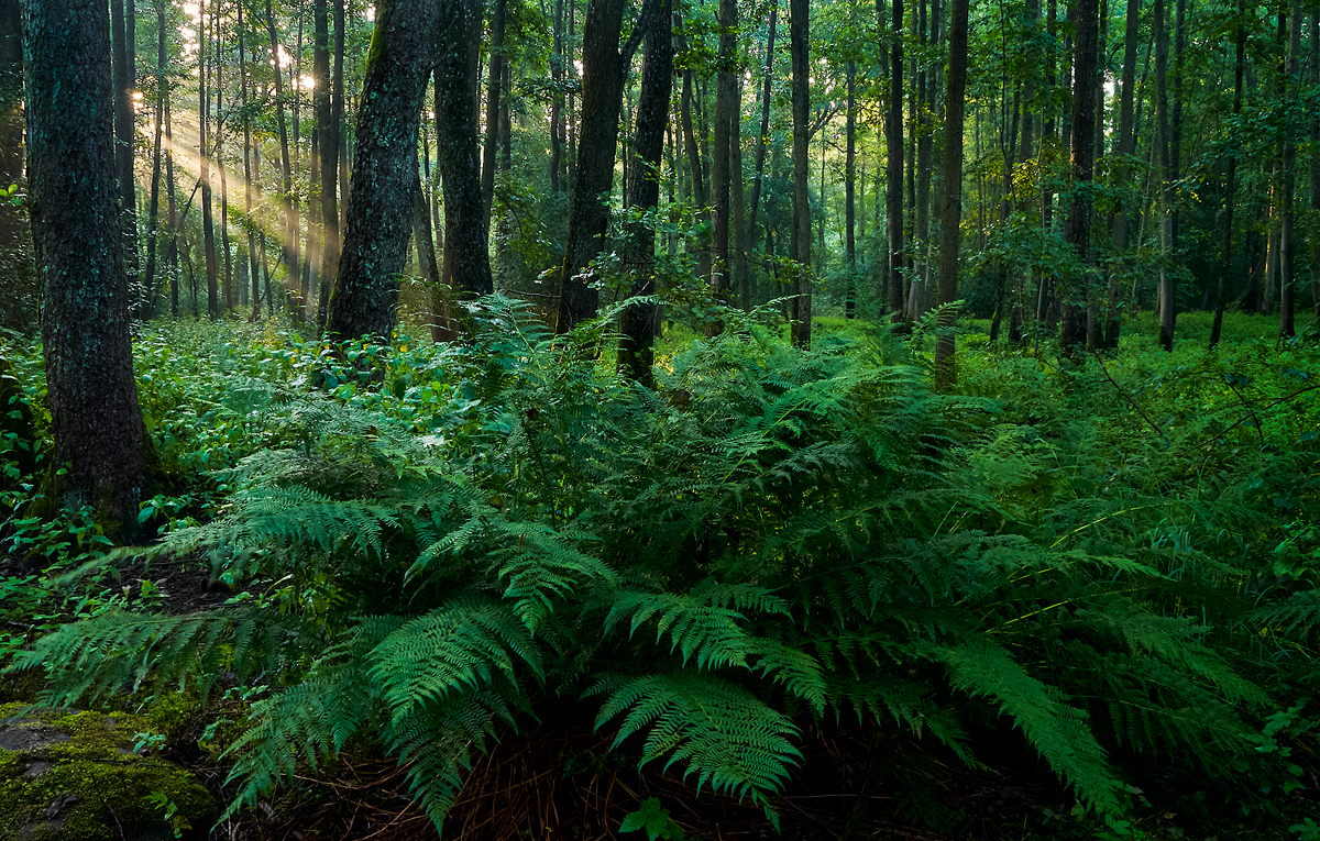 Sacred Sites In Pennsylvania